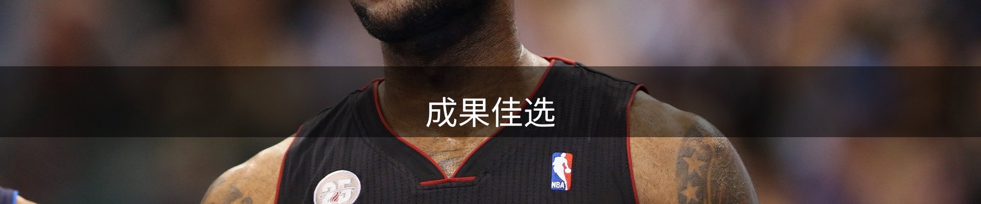 成果佳选